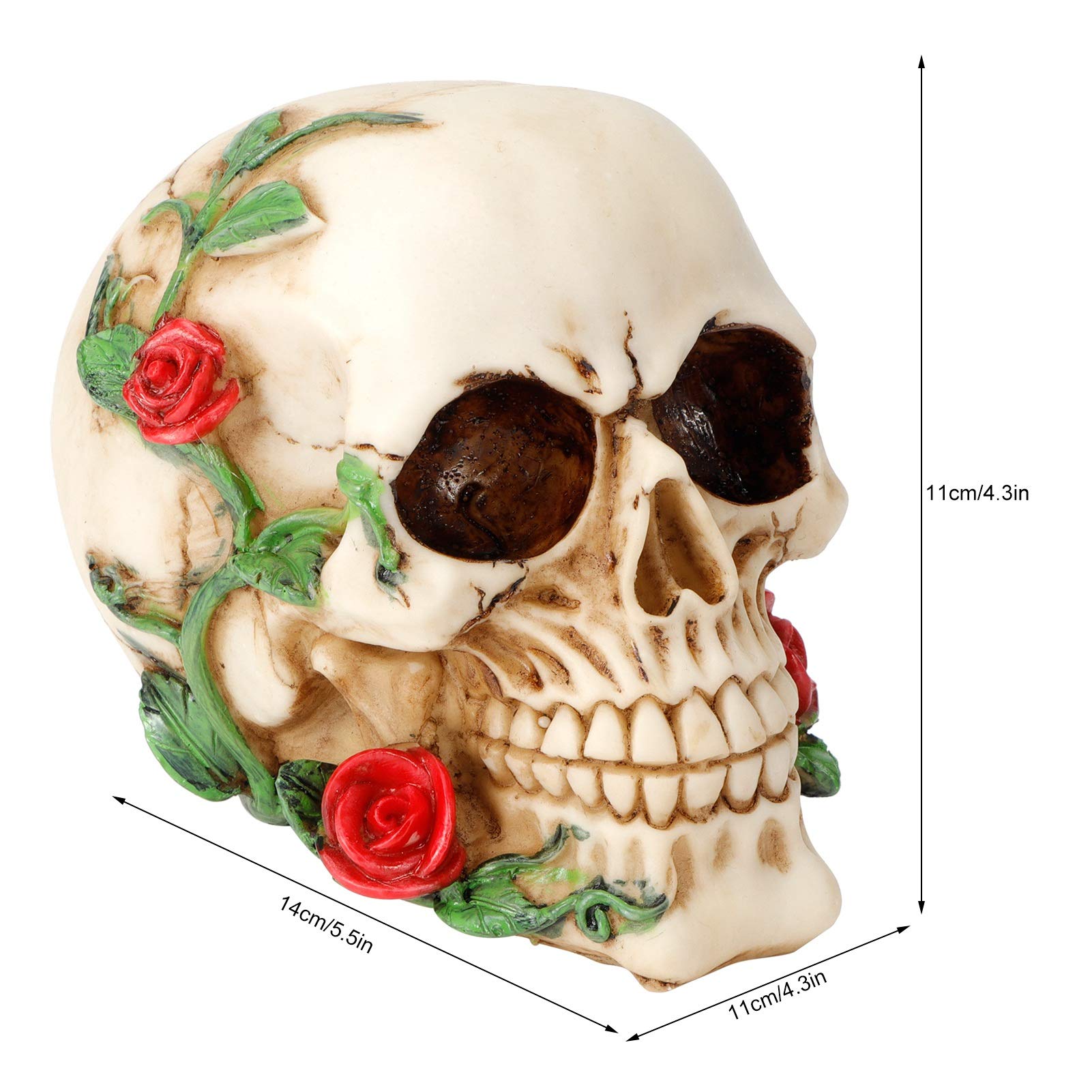 Amazon.co.jp: 樹脂頭蓋骨装飾、花付き人間の頭蓋骨頭の骨、スケルトン Amazon.co.jp: 樹脂頭蓋骨装飾、花付き人間の頭蓋骨頭の骨、スケルトン